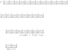 Figure US07208293-20070424-C00026