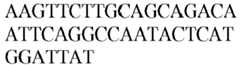 Figure imgb0493