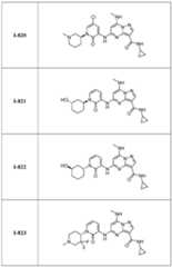 Figure imgf000251_0001