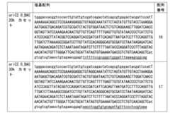 Figure JPOXMLDOC01-appb-T000008