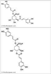 Figure imgf000005_0001