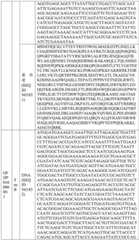 Figure BDA0004033970230007081