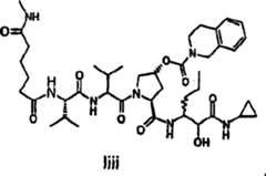 Figure S06180326520060524D001901