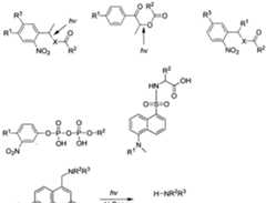 Figure imgf000888_0001