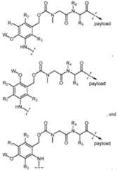 Figure imgf000172_0001