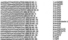 Figure BPA00001406404401671