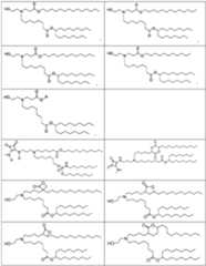 Figure imgf000242_0001