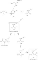 Figure US06767991-20040727-C00068