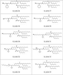 Figure BDA0003154168970000951