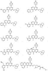 Figure imgf000869_0001