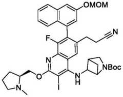 Figure BDA0003993773060002541