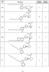 Figure imgf000031_0001