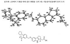 Figure P1020177009881