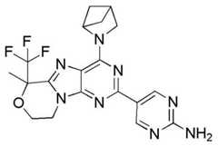 Figure BDA0001402557760001651