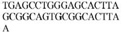 Figure imgb0545