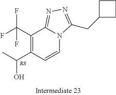 Figure US12048696-20240730-C00080