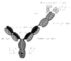 Figure imgf000175_0001