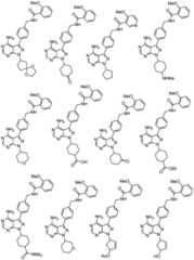 Figure BDA0001661073090000251