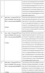 Figure imgf000151_0001