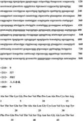 Figure RE-GDA0001905944050000491