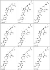 Figure BDA0003265543490003081