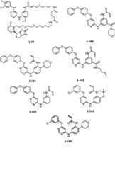 Figure BPA00001476434900591