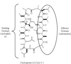 Figure US06270957-20010807-C00003
