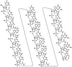 Figure BDA0003817829470000231