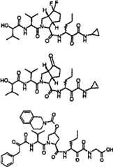 Figure BSA00000606821201371