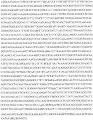 Figure GDA0002870045410000871