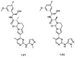 Figure PCTCN2020091695-appb-000040