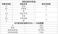 Figure BDA0000387387540000531