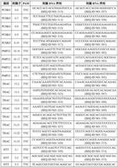 Figure BDA0003627552160002451