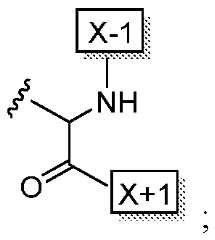 Figure imgf000004_0002