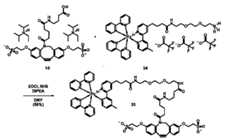 Figure 2024543404000066