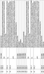 Figure GDA0003456370590000761