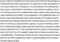 Figure BDA0003352475060000133