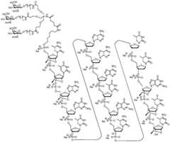 Figure BDA0002976854330000241