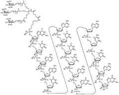 Figure BDA0002976854330000491