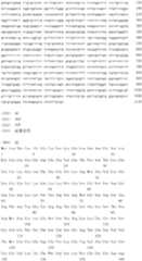 Figure IDA0000079231860000331