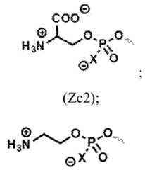 Figure imgf000102_0001