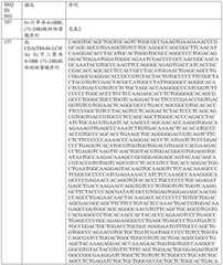 Figure BDA0001868160740001422