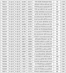 Figure BDA0002715438180001511