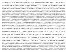 Figure imgf000339_0002