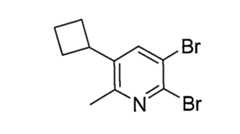 Figure 113105161-A0202-12-0103-139