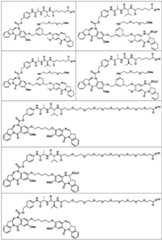 Figure BDA0003285627320000731