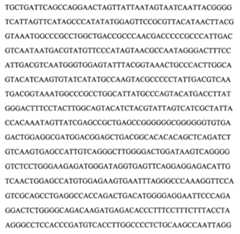 Figure 104109152-A0202-12-0112-67