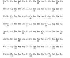 Figure 108126642-A0202-12-0199-436