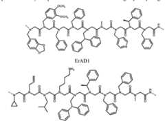 Figure imgf000125_0001