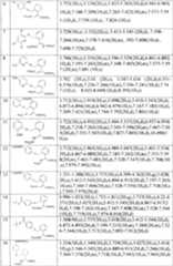 Figure A20051006027100091